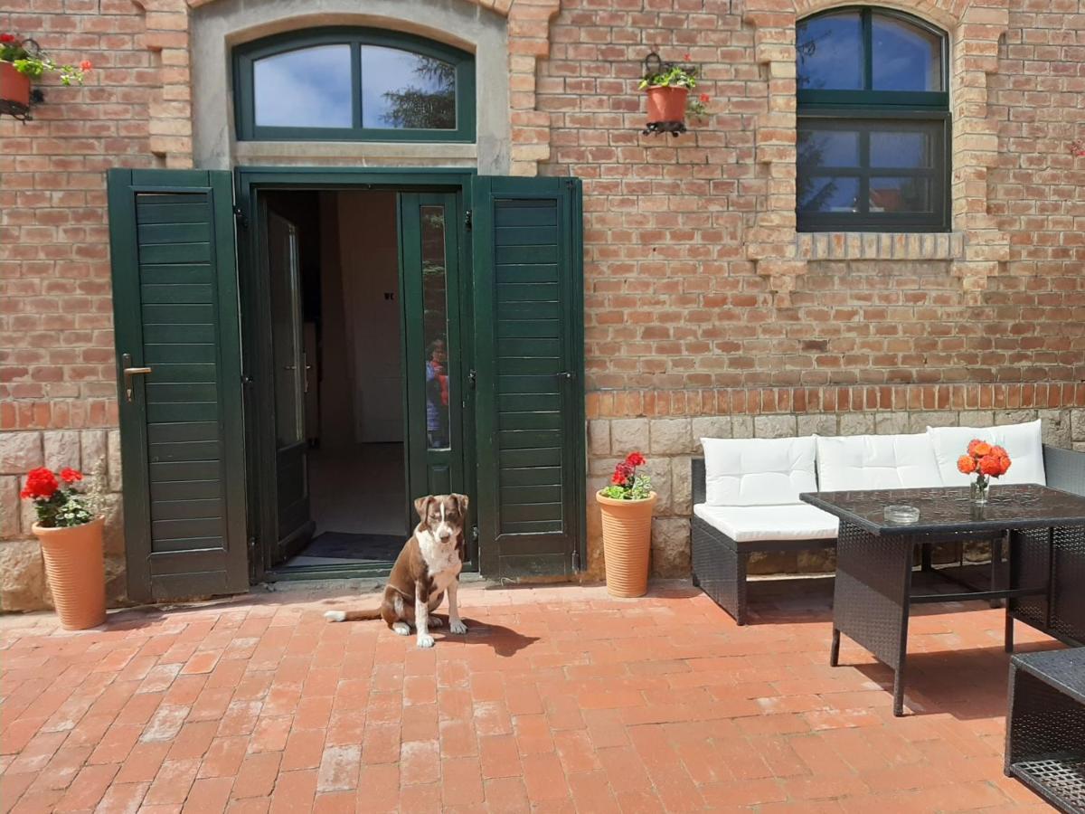 Natura Panzio&Apartmanhaz Orfű Buitenkant foto